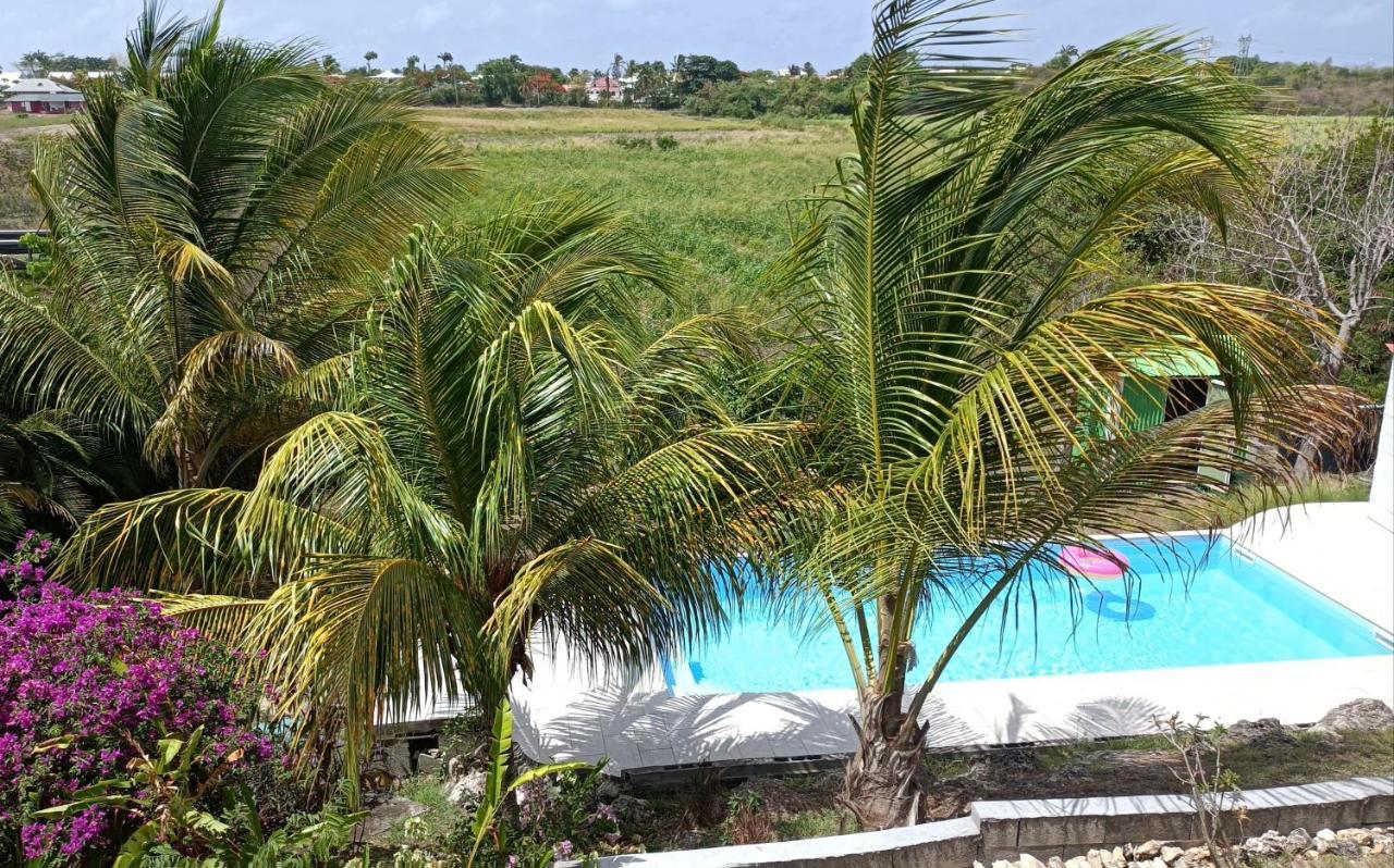 T2 Jardin Clos Les Nids De La Colline Saint-Francois (Grande-Terre) Exterior foto